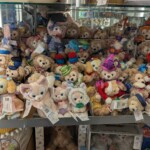 Petits ours 🤩🤩