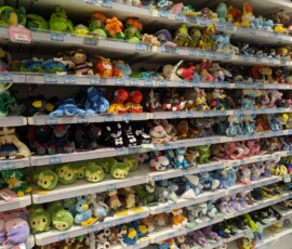 Le mur des peluches Pokémon