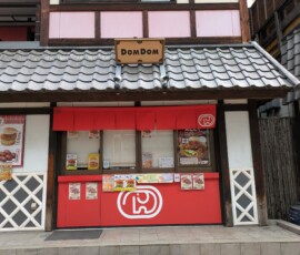 Le DomDom face à son terrible rival: le SubSub...