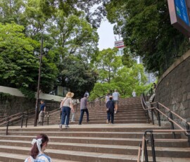 Les escaliers très méchants de l'entrée du parc