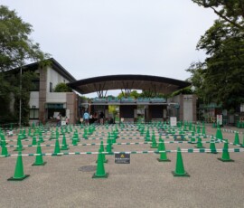 L'entrée du zoo d'Ueno, pas très populaire en ce dimanche matin