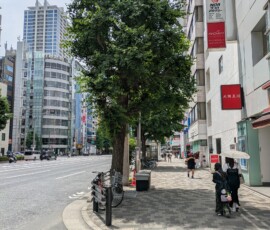 Tokyo a une chance que n'a pas Paris - les principaux axes ont gardés leurs arbres, qui offrent une ombre très bienvenue