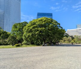 Les rares bancs à l'ombre étaient pris d'assaut