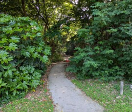 Où mène ce petit chemin un peu caché ?