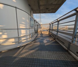 Trois espaces d'observation, avec des bancs improvisés, attendront les plus courageux