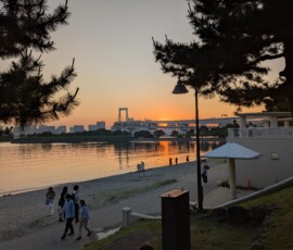 Le pont depuis la plage