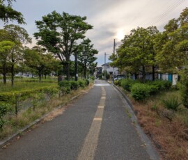 Chemin piéton très verdoyant, à distance de la nationale