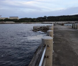 Vagues qui se déchaînent