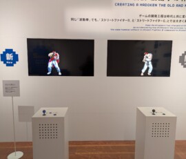 On pouvait également faire soi même le Hadoken pour comparer les deux en terme d'animation