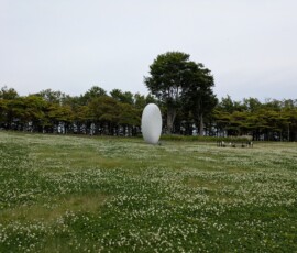 Pourquoi y'a une grosse dragée au milieu de ce parc