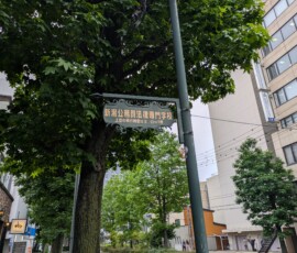 Quelques panneaux urbains dans un style européen