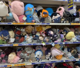 Le coin peluche était quand même admirablement fourni