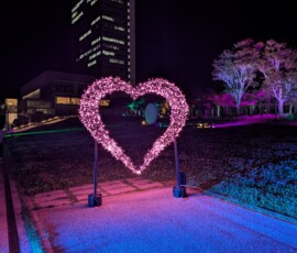 L'amour est dans l'air - en tout cas la dragée est dans notre coeur. Elle devrait pas plutôt être dans notre estomac ? Argh.
