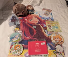 Mes achats au Surugaya et au Animate, on est resté raisonnable