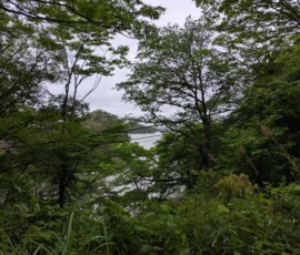 On commence à entrevoir la baie...