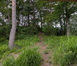 Un mystérieux chemin partait depuis le pavillon, je me demande quelle belle vue sur la baie se cache derrière...