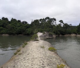 L'accès à l'Umanose, vu depuis l'Umanose