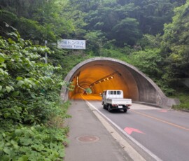 Pas un plaisir de croiser ça sur le chemin du retour