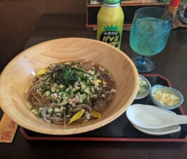 Mon udon froid, glaçon inclus !