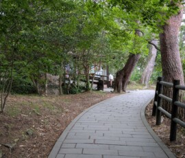Un ptit café nous attends derrière les arbres...