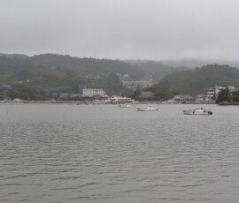 Vue sur le port