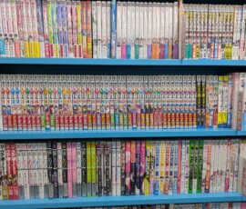 Le rayon manga du Lashinbang