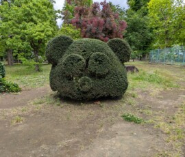 C'est NOUNOURS !!!