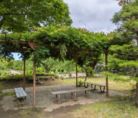 Pas mal d'endroits sympas où s'asseoir dans le jardin botanique