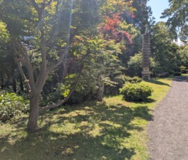 Jardin, le soleil tape...