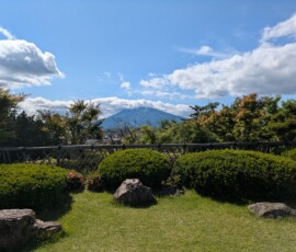 Le jardin offre lui aussi une jolie vue de la montagne