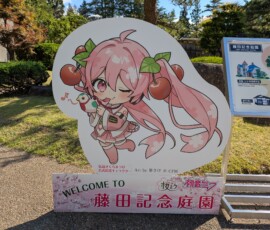 NON MIKU NE FAIS PAS LE CHANT DES TEMPÊTES SVP