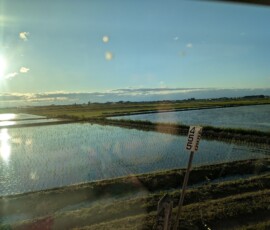 La vue depuis le train est tout en campagne et en rizière