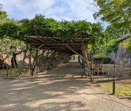 L'entrée de la forteresse ne manque pas d'ombre, c'est très gentil