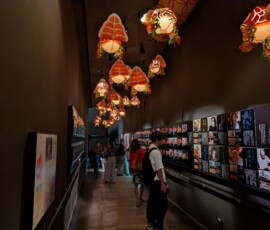 Poissons en papier pour illuminer l'exposition