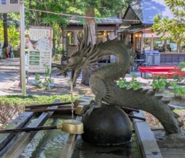 Dragon baveur