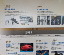 Frise historique de l'aquarium - jumpscare par l'apparition du futur empereur du Japon.
(Très drôle de voir des images des années 80 en noir & blanc pour leur donner un aspect ancien alors que à l'époque on faisait déjà plus trop de photos)