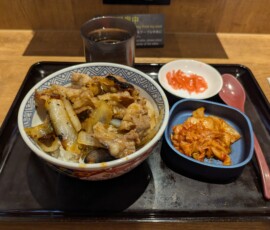 Mon gyudon nul