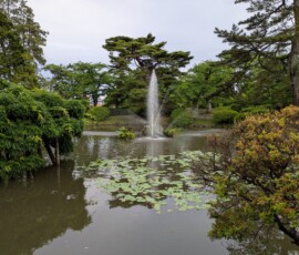 La jolie mare du parc