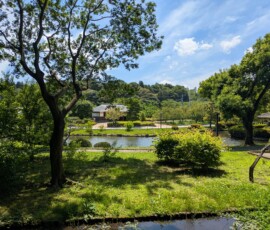 Cours d'eau et verdure, c'est pas mal