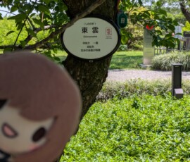 SHINONOME !?