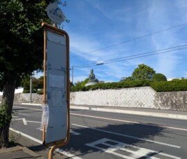 Arrêt de bus et grand bouddha...