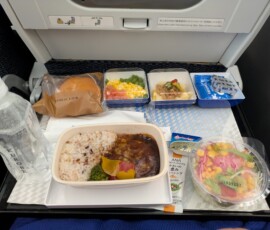 Déjeuner très vener dans l'avion - j'ai pas tout fini...