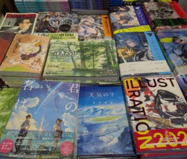 Quelques artbooks en vente dans la zone japonaise